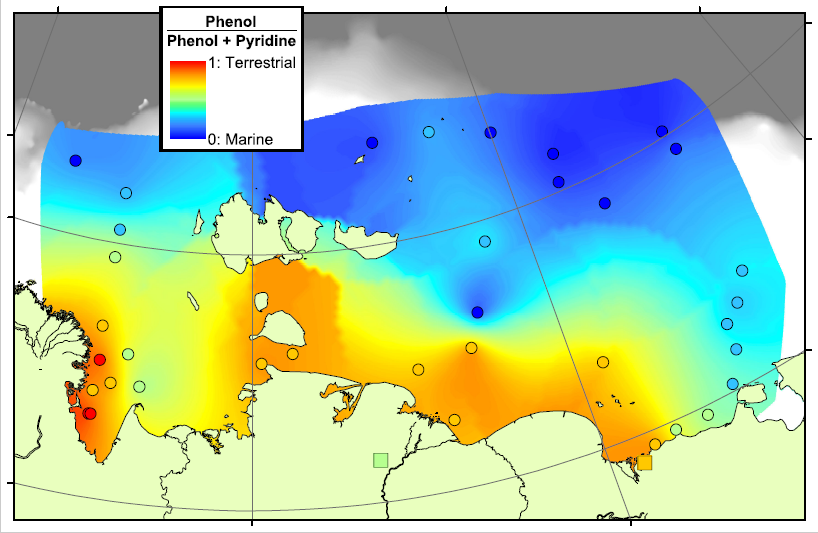 Phenol-Pyridine ratio on the Arctic Shelf